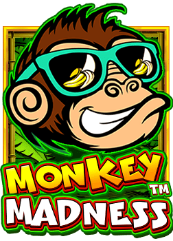 สมัคร เว็บ บอล fifa55 เล่นสล็อตออนไลน์ยังไงให้ปัง